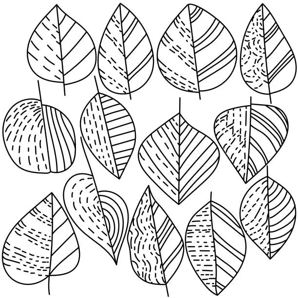 Vector illustration of Set of contour leaves with linear patterns, coloring page on autumn theme, plant doodle outline