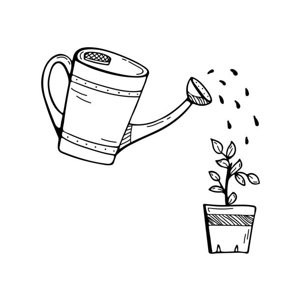 istock Doodle illustration with a watering can watering a flower. Gardening. 1270964330