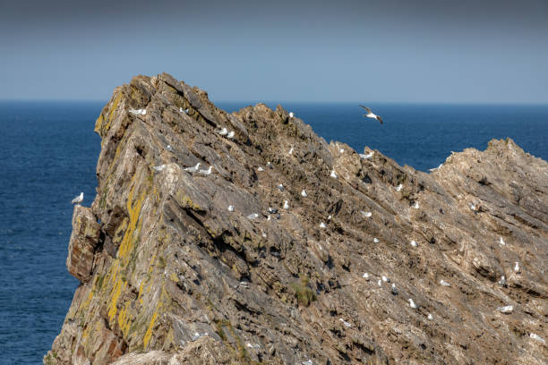 istock Bow Fiddle Rock, Scottish Highlands, Scotland 1270965027