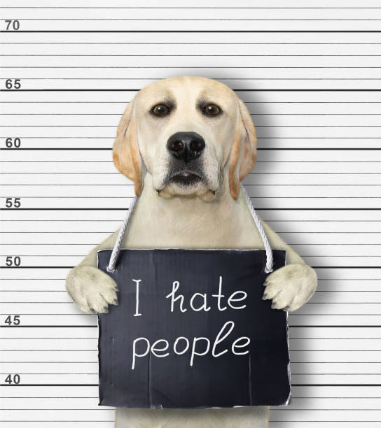 istock Dog arrested for hating people 1270965782