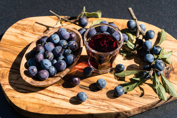 kręgosłup prunus spinosa - plum fruit organic food and drink zdjęcia i obrazy z banku zdjęć
