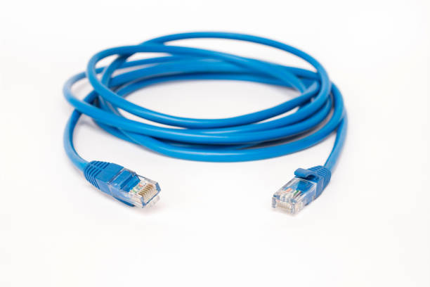 niebieski patchcord z rj45 plug lan sieci izolowane na białym tle. - cable rj45 network connection plug computer zdjęcia i obrazy z banku zdjęć