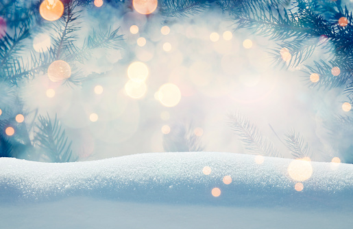 Pine tree background for Christmas decoration with snow and defocused lights