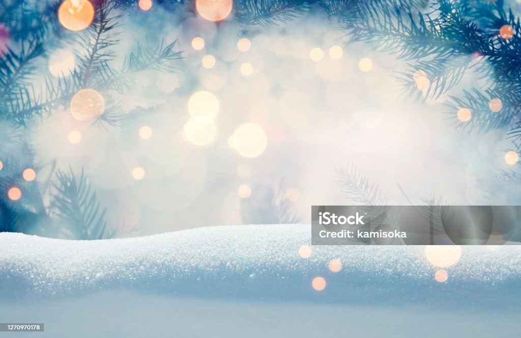 Pine tree background for Christmas decoration with snow and defocused lights Christmas Stock Photo