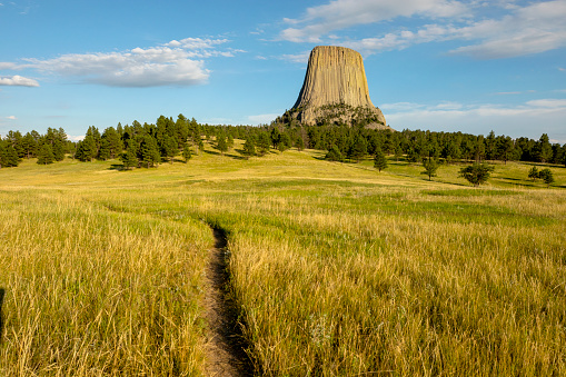 Hiking trail in the middle of a meadow going towards Devils Tower in Wyoming, USA.