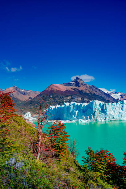 아르헨티나 파타고니아의 황금 가을에 오스트랄 숲이 있는 유명한 페리토 모레노 빙하와 산악 청록색 석호 - los glaciares 뉴스 사진 이미지