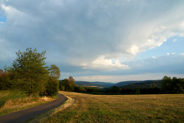 Single tree at autumn in Balkan Mountains - Bulgaria