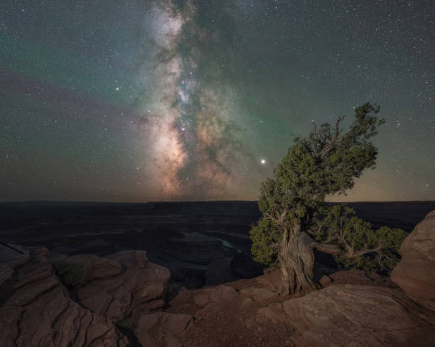 istock Milky Way Galaxy rising at Dead Horse Point with a Juniper Tree in the foreground 1270976459