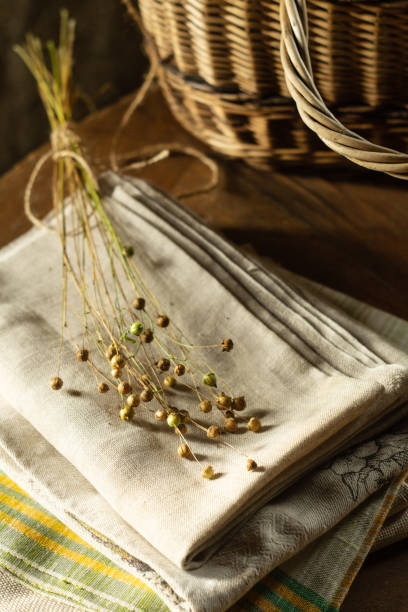 istock Bunch of dry flax plants on linen cloth 1270976719