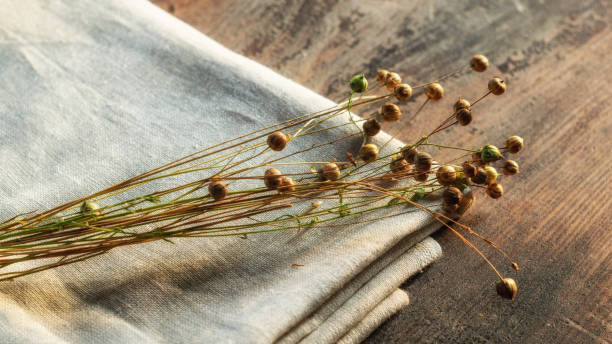 istock Bunch of dry flax plants on linen cloth 1270977583