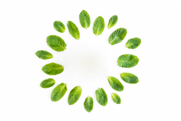 istock Wreath frame made of mint leaves isolated on white background. Set of peppermint. Mint Pattern. Flat lay. Top view 1270978945