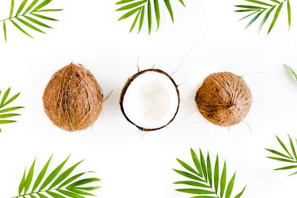 istock Pattern with coconuts and tropical palm leaves on white background. Tropical abstract background. Flat lay, top view 1270979885