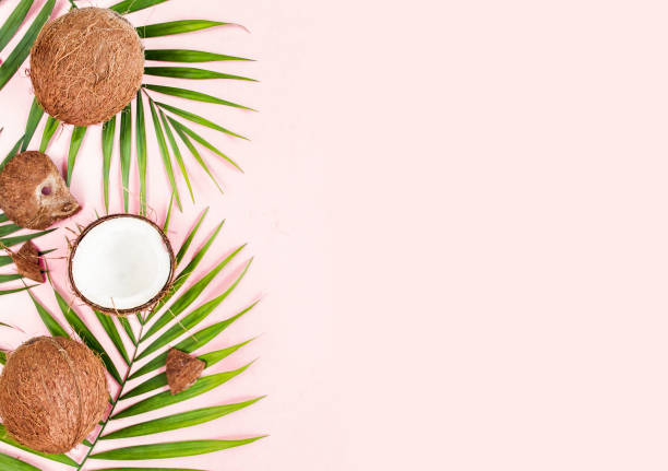 istock Pattern, frame borders with coconuts and tropical palm leaves on pink background. Tropical abstract background. Flat lay, top view 1270980175