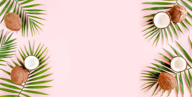 istock Pattern, frame borders with coconuts and tropical palm leaves on pink background. Tropical abstract background. Flat lay, top view 1270981699