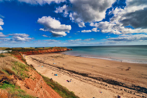 sandy bay a exmouth, devon - scenics coastline uk moss foto e immagini stock