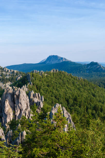 istock forest in the mountains on a summer day 1270984522