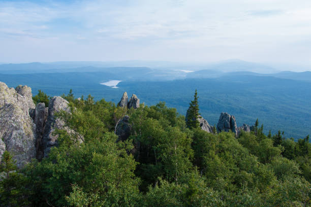 istock forest in the mountains on a summer day 1270984544