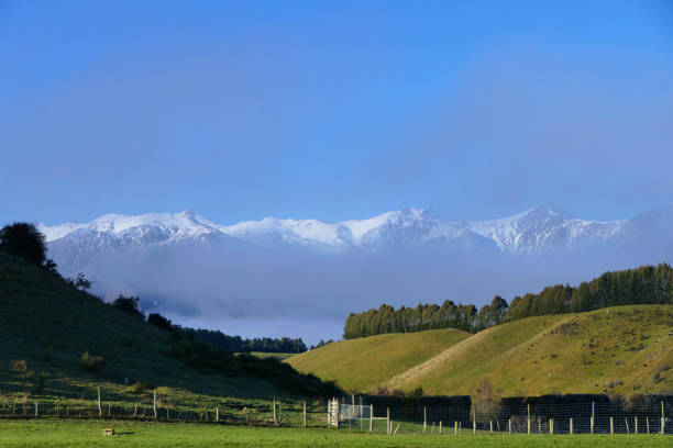 istock Panoramic view in the Canterbury region 1270986219
