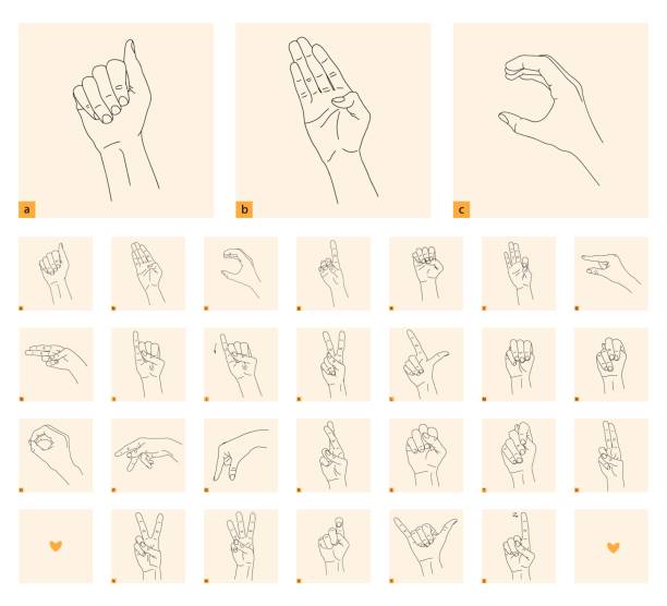 A set of isolated gestures for the sign language. Black linear drawing on a light background. Black and white drawing of a hand. sign language language. Stock vector illustration. Cards to study A set of isolated gestures for the sign language. Black linear drawing on a light background. Black and white drawing of a hand. sign language language. Stock vector illustration. Cards to study. sign language class stock illustrations