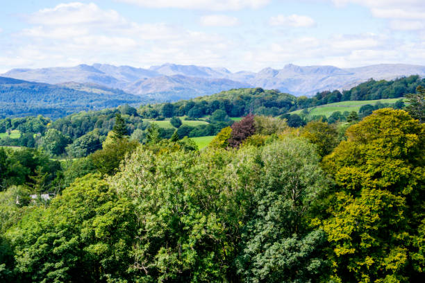 A view across the Cumbrian fells towards the Langdale Pikes A view across the Cumbrian fells towards the stunning Langdale Pikes langdale pikes stock pictures, royalty-free photos & images