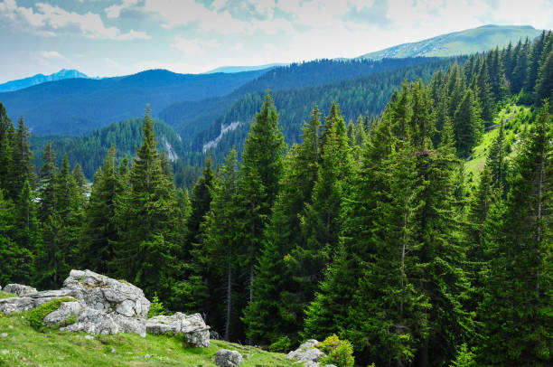 istock Ialomita Gorges 1270987766