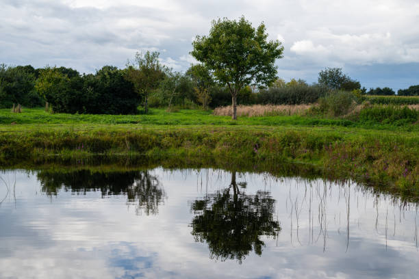 istock Photos of a small  pond between fields in northern Germany with a relatively clear reflection on a cloudy day 1270988417