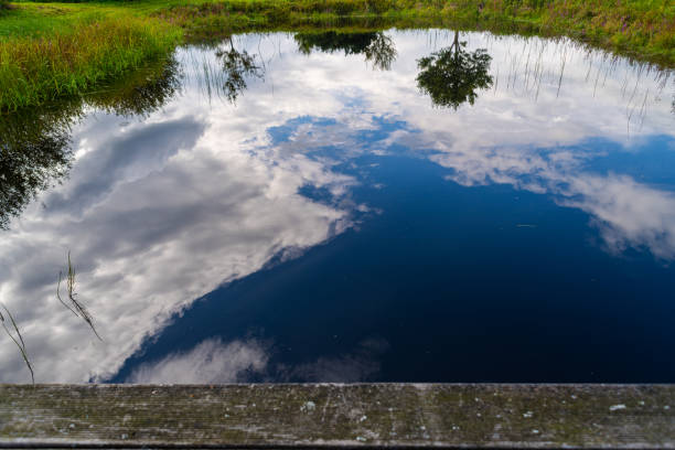 Photos  of a small pond between fields in northern Germany with a relatively clear reflection on a cloudy day