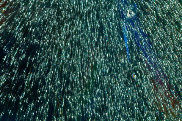 istock Macro of water drops on multicolor background 1270992315