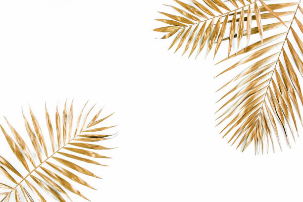 istock Gold tropical palm leaves on white background. Flat lay, top view minimal concept 1270993386