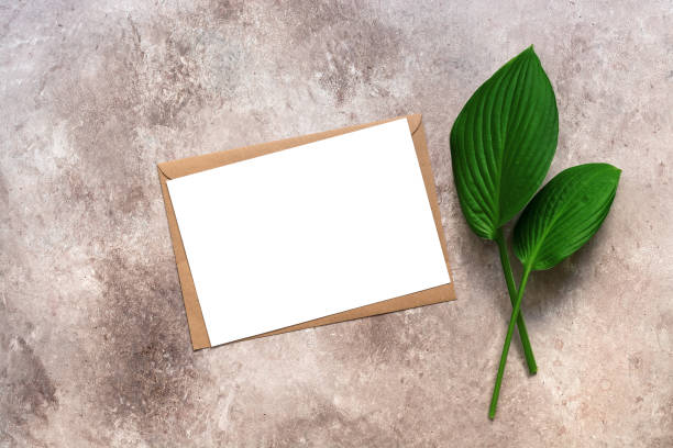 Green hosta leaves and blank card with craft envelope on beige textured background. Minimalistic stationery scene. Company corporate identity template. Invitation mockup. Top view.
