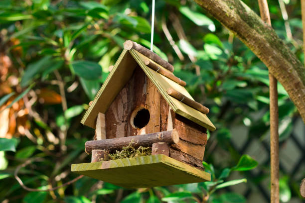 istock Wooden birdhouse on a tree 1270994745