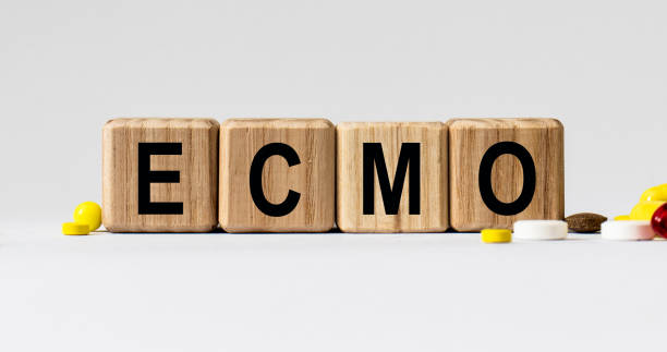 cubes with the word ecmo on them. care concept. - single word love wood typescript imagens e fotografias de stock