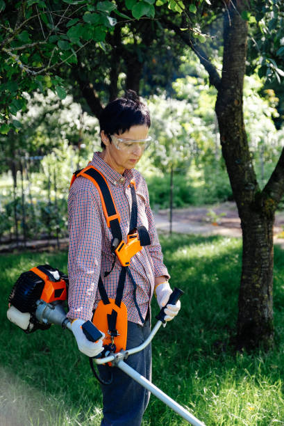 istock Woman cuts the grass with a string trimmer in the backyard. Garden work concept. 1270998702