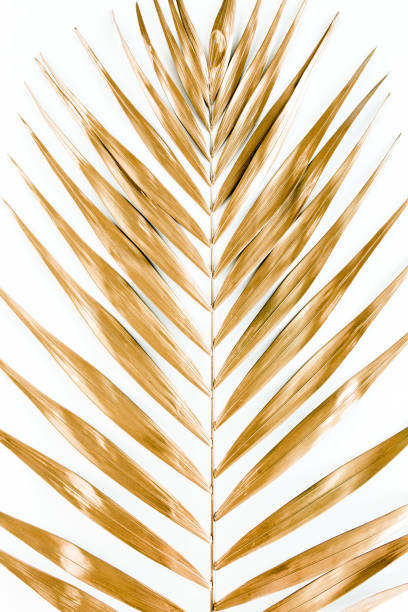istock Gold tropical palm leaves on white background. Flat lay, top view minimal concept 1271000714
