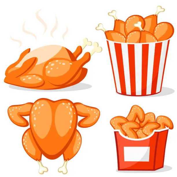 Vector illustration of Set of grilled chicken whole, drumstick and wing in packaging