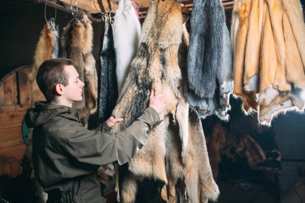 istock A young man hangs up the fur after treatment 1271008347