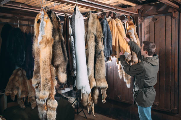 istock A young man hangs up the fur after treatment 1271008354