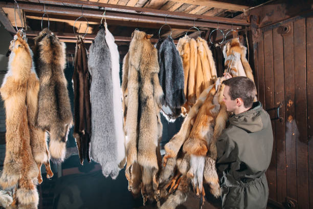 istock A young man hangs up the fur after treatment. 1271008922