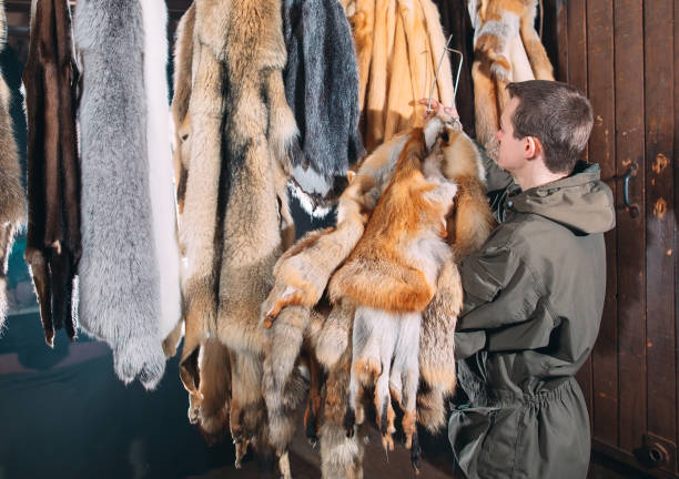 istock A young man hangs up the fur after treatment. 1271008923