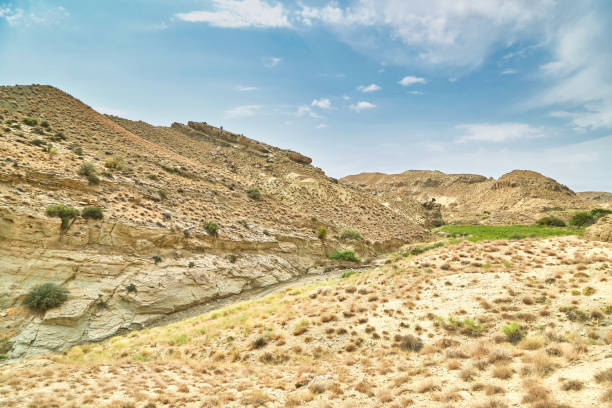 istock sandy surface in the mountains of Asia without rain sandy surface and dried plants 1271012523