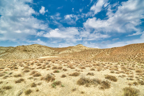istock sandy surface in the mountains of Asia without rain sandy surface and dried plants 1271012772