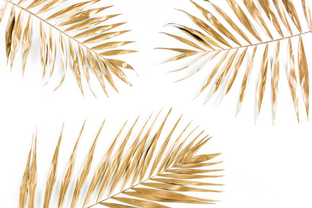 istock Gold tropical palm leaves on white background. Flat lay, top view minimal concept 1271012944