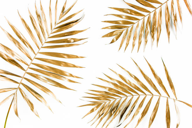 istock Gold tropical palm leaves on white background. Flat lay, top view minimal concept 1271013474