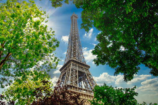 The Paris Eiffel tower through trees on a sunny day.