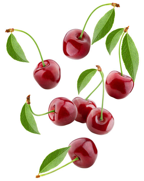istock Falling cherry, clipping path, isolated on white background, full depth of field 1271014814