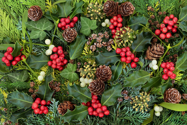 istock Traditional Winter Holly and Flora  Background 1271015761