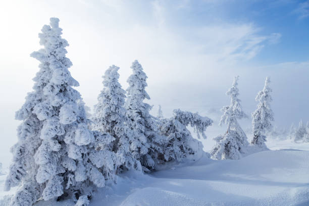 istock Image of amazing winter landscapes 1271015962