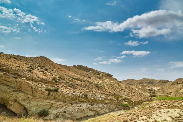 istock sandy surface in the mountains of Asia without rain sandy surface and dried plants 1271016627