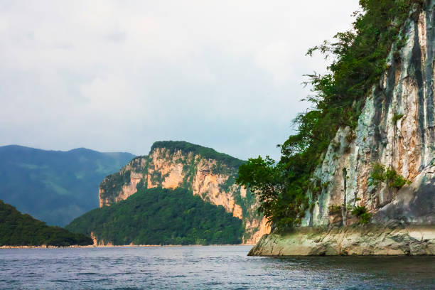 istock Rock walls and life 1271016749