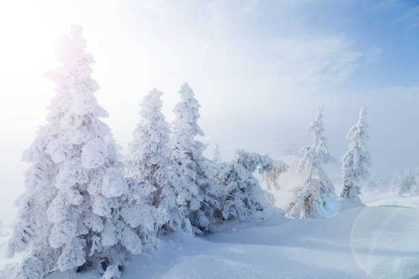 istock Image of amazing winter landscapes 1271017741